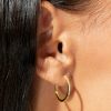 Francesca's Demi-Fine Gold Plated 18Mm Cz Huggie Hoops Multi Earrings