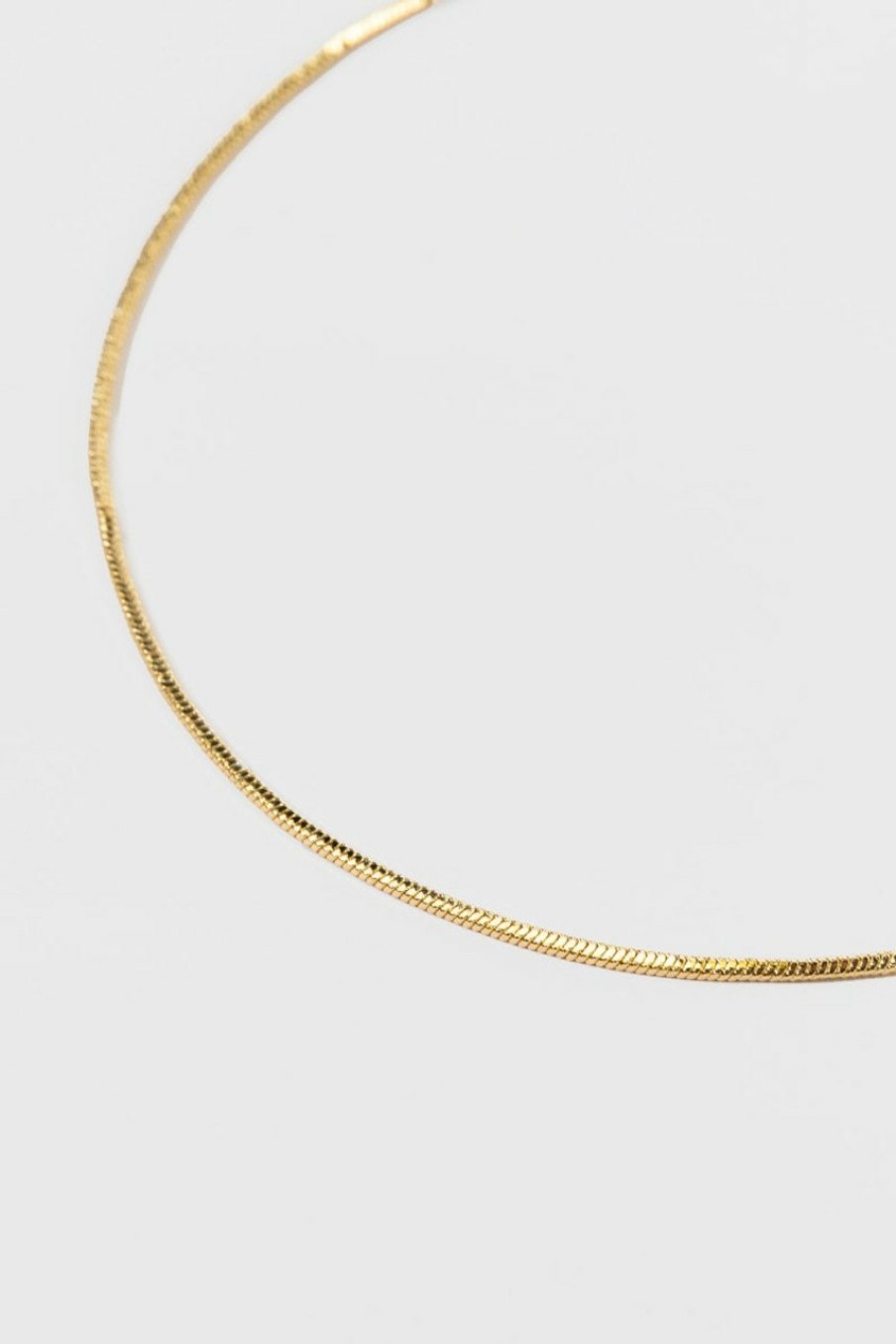 Francesca's Cierra Dip Tube Snake Chain Gold Necklaces