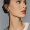 Francesca's Luxe Plated Lion Doorknocker Earrings Silver Earrings