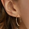 Francesca's Abigail Textured Hoop Set Gold Earrings